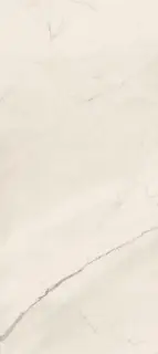 Керамогранит TREX6 278W RM 120x278