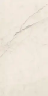 Керамогранит TREX 12W LP White 60x120