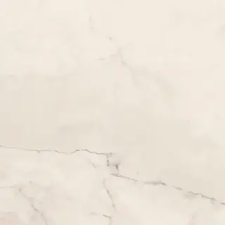 Керамогранит TREX 120W RM White 120x120