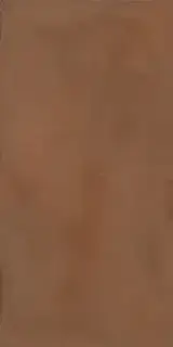 Керамогранит TERRA 12R RM 60x120