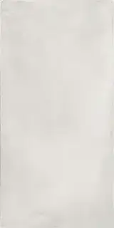 Керамогранит TERRA 12AG RM 60x120