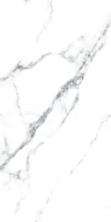 Керамогранит Statuariett White Pulido 60x120