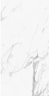 Керамогранит EJP8 Statuario Michelangelo Lappato 120x278