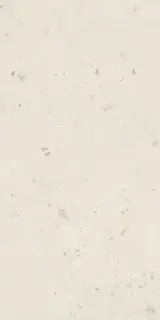 Керамогранит SHELL6 12 60x120