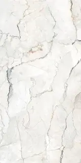 Керамогранит SAUVAGE Compacglass Pearl 60x120