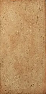 Керамогранит 1046391 RIABITA CLASSIC 20x40