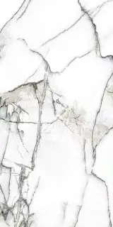 Керамогранит Premiere White Ep 60x120