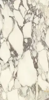 Керамогранит PL612671 Calacatta Viola Luc 60x120