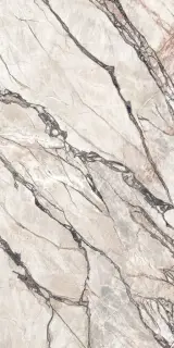 Керамогранит PF60017520 Supreme Hedonism Quarzite Sky Nat R 60x120