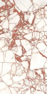 Керамогранит PF60017519 Supreme Hedonism Calacatta Dante Nat R 60x120