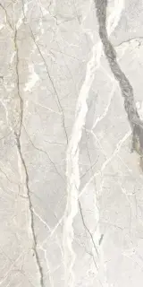 Керамогранит PF60017241 Supreme Hedonism Silver Roots Lux 3D R 60x120