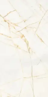 Керамогранит PF60017238 Supreme Hedonism Golden Spider Lux 3D R 60x120