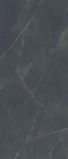 Керамогранит PF60012617 Supreme Memories Dark Stone Nat R 120x280