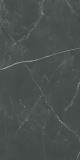 Керамогранит PF60012619 Supreme Memories Dark Stone Nat 60x120