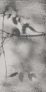 Керамогранит PF60012582 Art Walls Shadow Nat R 60x120