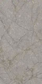 Керамогранит PF60011858 Supreme Memories Grey Soapstone Ant Ret 60x120