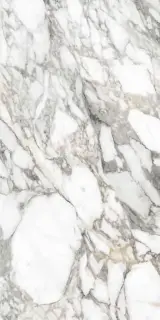 Керамогранит PF60011857 Supreme Memories Bianco Vagli Ant Ret 60x120