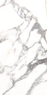 Керамогранит Opera Nplus 60x120