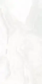 Керамогранит Oni White Polished 60x120