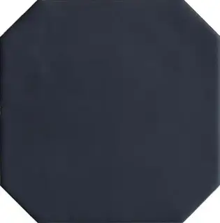Керамогранит 20554 Octagon Negro Mate 20*20