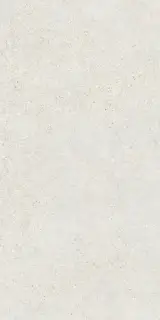 Керамогранит NC94 Mold Mist R 60x120