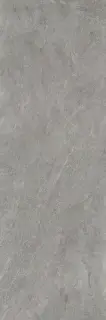 Керамогранит LSAWF30 Silver Flow 5plus nat 100x300