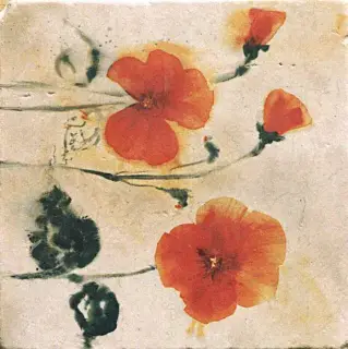 Керамогранит MARBLE STYLE FORMELLA STYLE 20x20