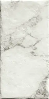 Керамогранит Magistra Classic Paonazzetto 20*40