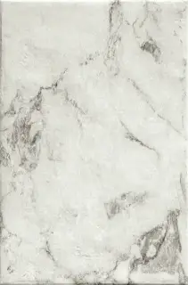 Керамогранит Magistra Classic Paonazzetto 40*60.8