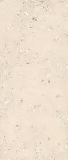 Керамогранит Logico Cosmo Light Nat 120x278