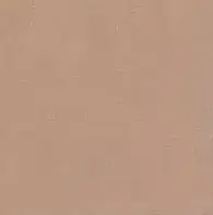 Керамогранит L4404-1Ch Caramel - Loose 10х10