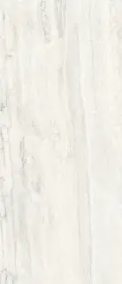 Керамогранит Invictus White Kry 120x278