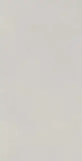 Керамогранит I863 Multiforme Polvere RT 40х80