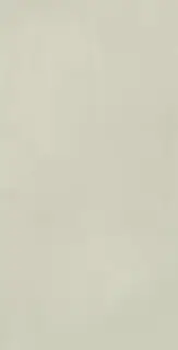 Керамогранит I859 Multiforme Salvia RT 40х80