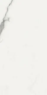 Керамогранит GCBO20S Boutique HBO20 Shine 60x120