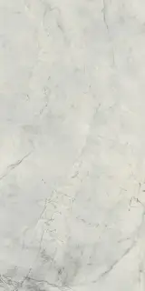 Керамогранит GCBO10SJ Boutique HBO10 Invisible Gray Shine Rett. 60x120