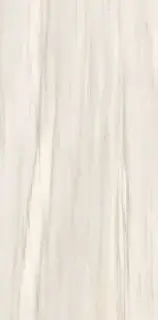 Керамогранит GCBO01S Boutique HBO1 ZEBRINO SHINE 60x120