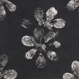 Керамогранит GAC25 Chymia Ophelia Black 30x30