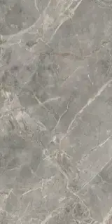 Керамогранит 761680 ETOILE GRIS GLOSSY 60x120 RET