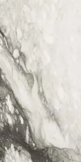 Керамогранит 761679 ETOILE RENOIR GLOSSY 60x120 RET