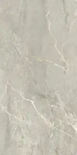 Керамогранит Ess.Yap Gris 60x120