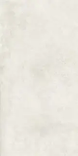 Керамогранит Ess.Wonder Base Natural 60x120