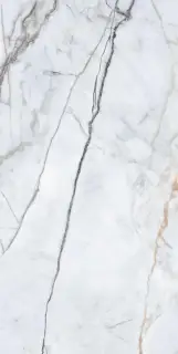 Керамогранит Elepo Gold Matt 60x120