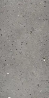 Керамогранит EGP2 Ego Grigio Scuro Nat Rett 60x120