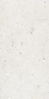 Керамогранит EGNZ Ego Avorio Nat Rett 60x120