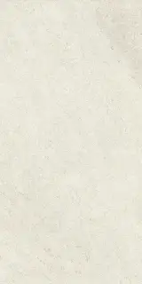 Керамогранит Eclettica Silk Rett Bianco 60x120