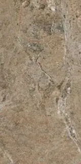 Керамогранит Dynasty Forest 20*40