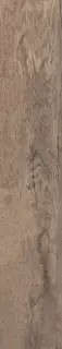 Керамогранит DPR35550 DOLPHIN OAK AGED RETT. 20х120