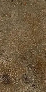 Керамогранит CSATENWA15 Terre Nuove Warm 15x30