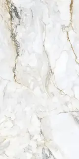 Керамогранит Cr.Pisa Gold Pul. Rect. 6mm 120x260